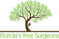 Florida's Tree Surgeons